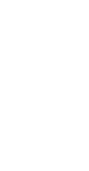 Axe-W2